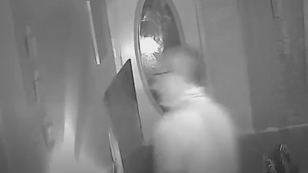 Dog alerts family to intruder in child's bedroom